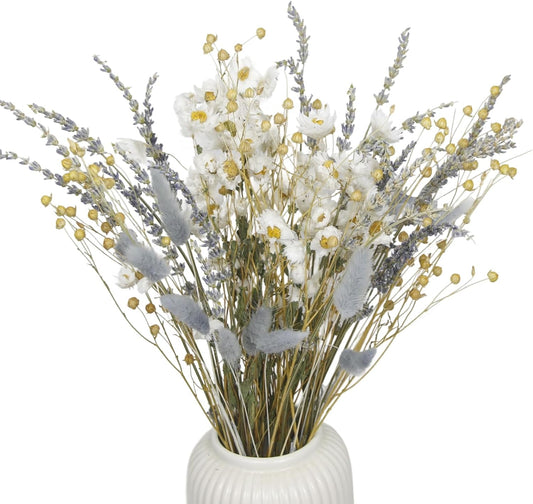 CISDUEO Dried Flowers Bouquet Dried Daisy Flowers Natural Lavender Bundles Dried Gerber Daisies Flowers Grey Bunny Tails Floral Arrangements for Wedding Table Centerpiece Decor Farmhouse DIY