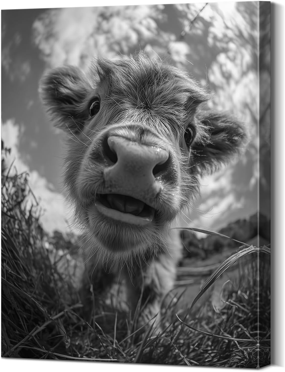 Highland Cow Wall Art Framed - Lightweight Highland Cow Canvas Print with Wooden Frame, Modern Farmhouse Decor 12x15.7 Inch - Animal Posters Farmhouse Pictures Wall Decor Canvas Art