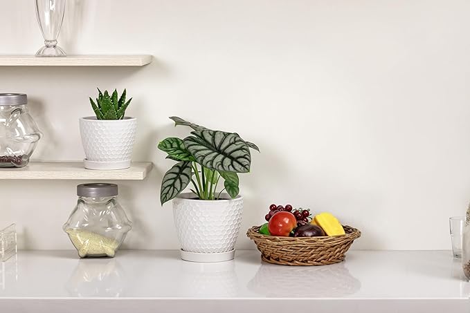Docrin Ceramic Plant Pots Indoor, 6.6 + 5.5 Inch Flower Pots with Drainage Holes and Saucer for Plants, Set of 2, Milky White Honeycomb