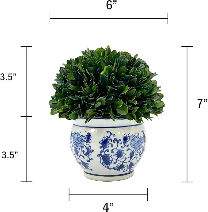 Galt International 7" Naturally Preserved Real Boxwood Ball in Hand-Painted Blue & White Round Bulb China Pot Planter Green Indoor Plant Home Decor (Small 7" Tall Topiary)