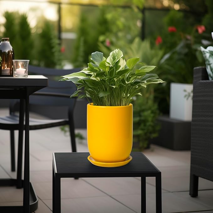 Plant Pot 8 Inch - Ceramic Plant Pot with Drainage Hole and Saucer Large Planter for Indoor Plants Outdoor Modern Flower Pot for Home Garden Decor Yellow