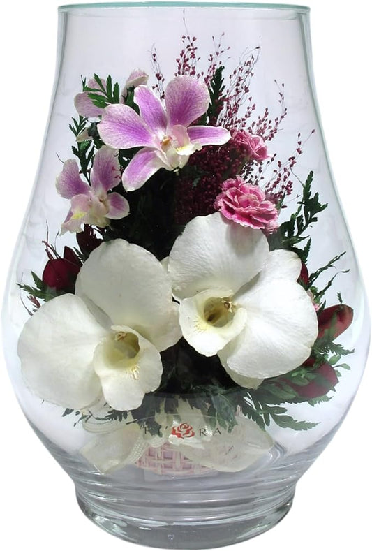 Fiora Flower Elegant Orchid Arrangement in Glass Vase | Preserved Real Orchids Lasting 5 Years | Ideal for Home Decor or Romantic Gift (Opal)