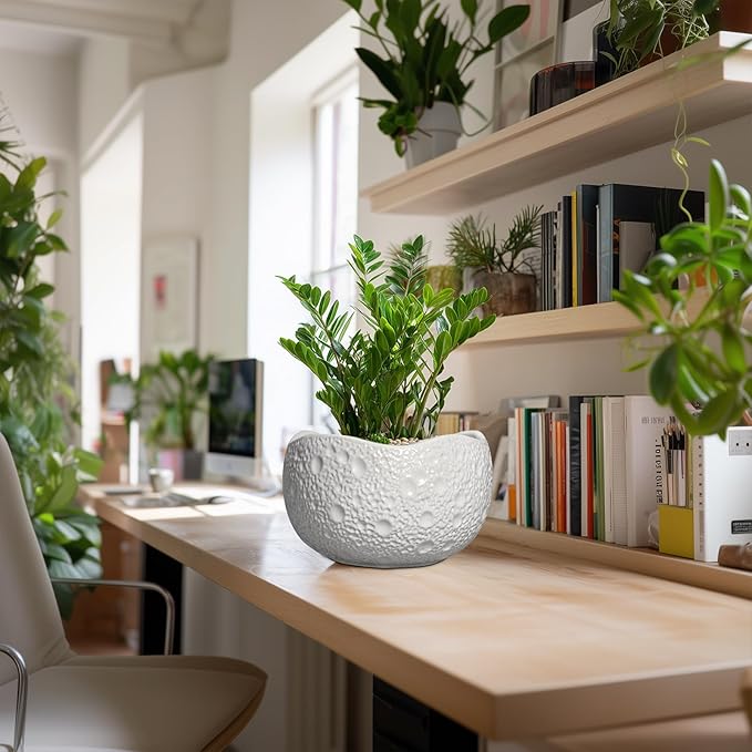 10 Inch Plant Pot - Ceramic Planter for Indoor Outdoor, Round Bonsai Pots, Decorative Flower Pots with Drainage Hole, Modern Unique Planters, House Decor, Home Gifts, White