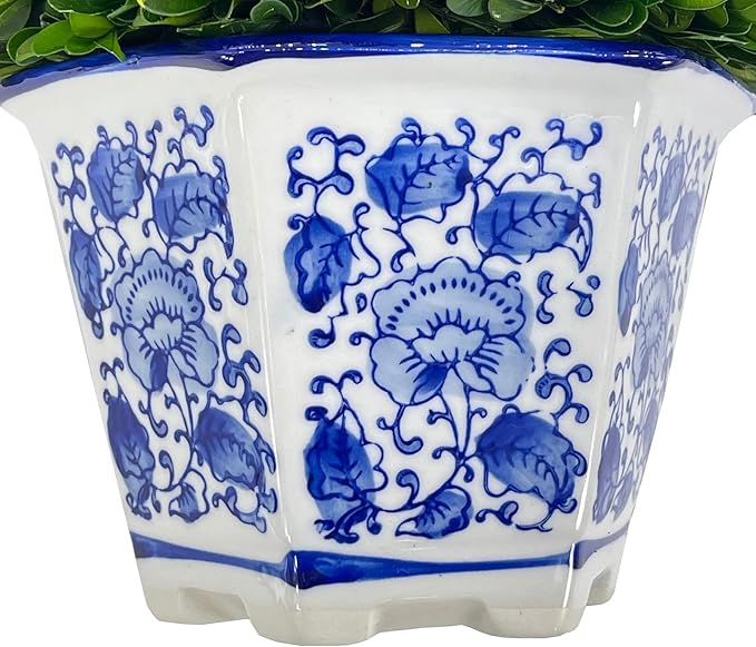 Galt International 9.5" Naturally Preserved Real Boxwood Ball in Hand-Painted Blue & White China Pot Planter Green Indoor Plant Home Decor (9.5" Tall Topiary)