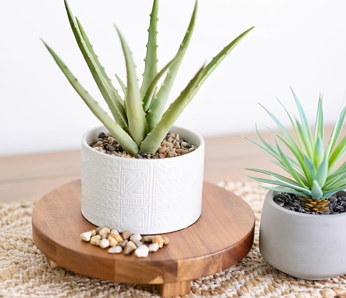 Kurrajong Farmhouse wood pedestal stand | 9" wide round riser board | acacia wood pedestal board | plant holder