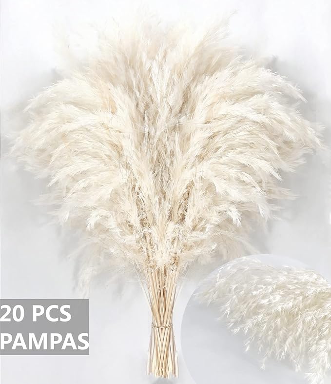 White Pampas Grass for Home Decor - Elegant Boho Decor - Premium Quality Pampas Grass Stems - Perfect for House, Nursery, Western, Wedding, Table, and Bohemian Decor (20PCS)
