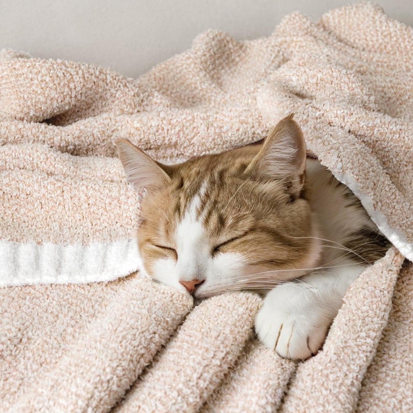 MIULEE Beige Super Soft Throw Blanket for Bed, Twin Size Cozy Fluffy Warm Blankets Knit Blankets for Couch, Sofa, Chair, Living Room, Camping, Picnic, 60 x 80 inch