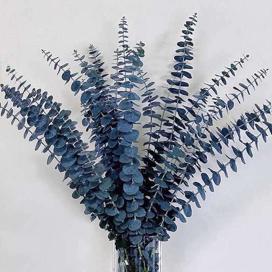 15Pcs Dried Preserved Blue Eucalyptus Stems, 100% Natural Fresh Plant, 17'' Bouquet for Floral Arrangements, Vase Fillers, Perfect for DIY Weddings Parties Home Office Shower Decor