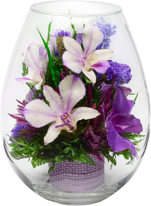 Fiora Flower Elegant Orchid Arrangement in Glass Vase | Preserved Real Orchids Lasting 5 Years | Ideal for Home Decor or Romantic Gift