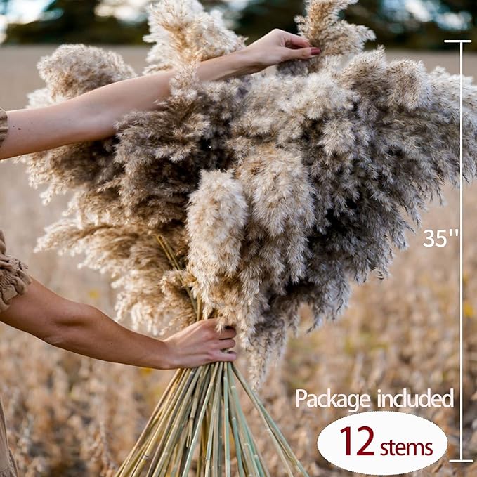 12 Pcs Large Dried Pampas Grass Decor Tall 35 inches, Boho Decor Pompas Floral for Arrangements Home Wedding Yard Party Photography, Fluffy