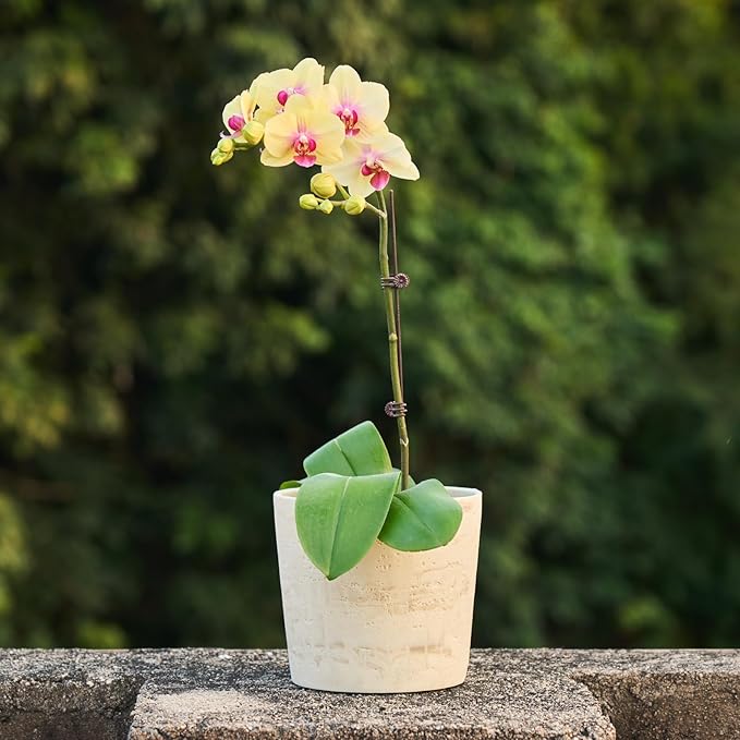 Ekirlin 7 Inch Natural Travertine Textures Plant Pot, Resin Outdoor Planter with Drainage Hole, Removable Rubber Stopper and Non-Slip Soft Pad,Weatherproof Decorative Pot for Indoor/Garden Plants