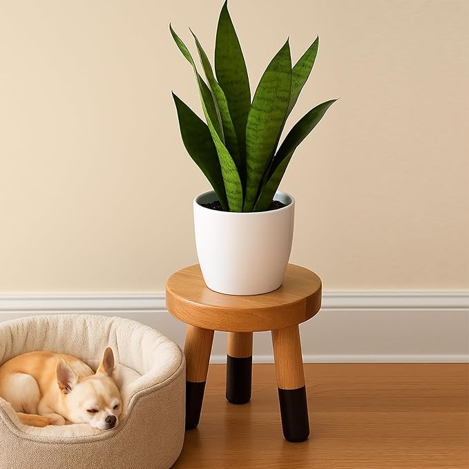 Rubber Wood 9" Round Plant Stand |Dip Dyed Black Stool, Wood Riser |Milking Stool (10" H)