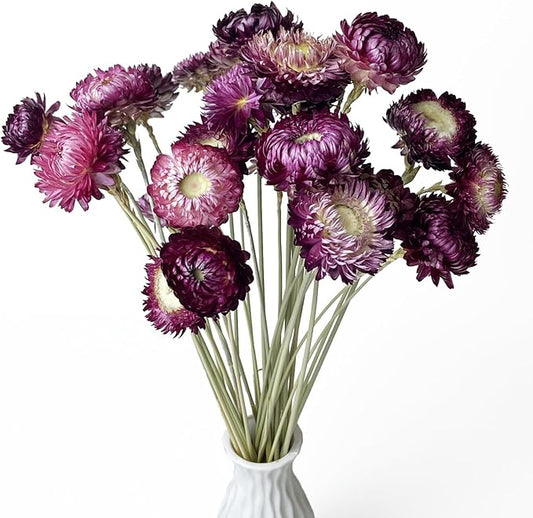 100% Natural Daisy Flowers, Dried Flower Bouquets-30Pcs Pink Daisies Chrysanthemums, 17 Inch Arrangements for Vase, Home Decoration Photo Props Parties and Weddings-Daisy Purple