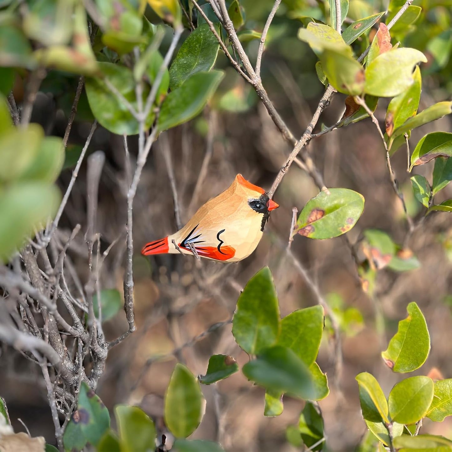 Hand Carved Bird Figurines, Hand-Painted Sculpted Wooden Birds, Wood Bird Sculptures for Home Decoration, Hand Crafted Life Like Bird Statues, Ideal Gifts for Bird Lovers (Female Cardinal)