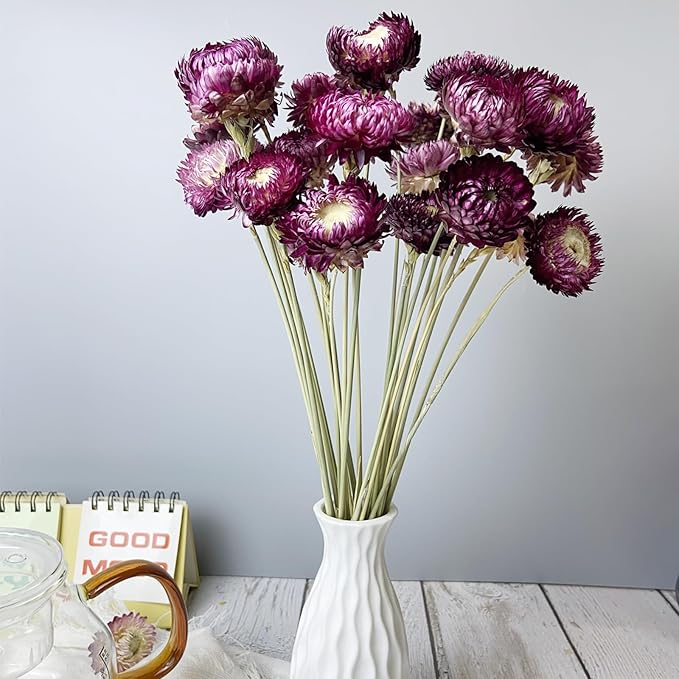 100% Natural Daisy Flowers, Dried Flower Bouquets-30Pcs Pink Daisies Chrysanthemums, 17 Inch Arrangements for Vase, Home Decoration Photo Props Parties and Weddings-Daisy Purple