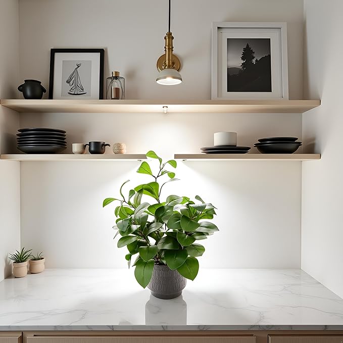 19" Artificial Ficus Plant in Textured Black Ceramic Planter Tall Faux Plant with Deep Green Leaves for Modern Home Office Shelf Bathroom Tabletop Indoor Decor