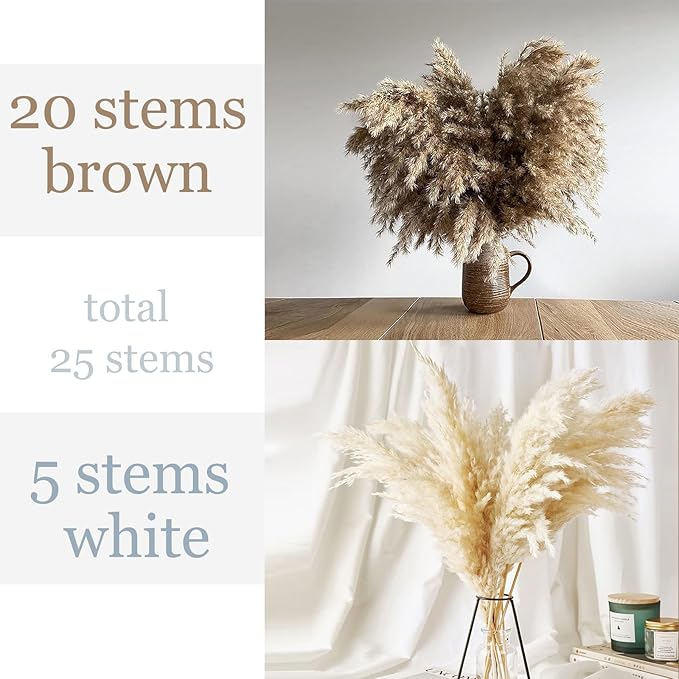 25 Stems Home Decor - Natural Dried Pampas Grass, Brown Pompas Grass, Dry Small Pampas Bulk for Living Room Table Decor, Boho Decor, Party Wedding Decor , Gift(17.7 inch, 20 Brown & 5 Female Pampas )