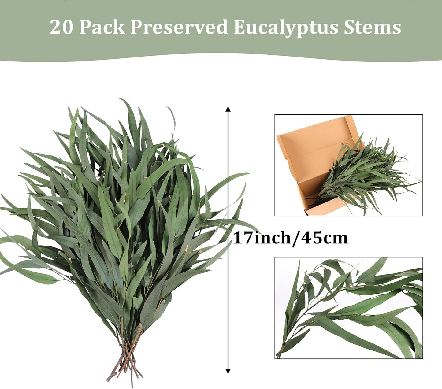 Eucalyptus Stems, 20PCS 17inch Real Fresh Dried Eucalyptus Branches for Shower Wedding Spring Festival Vase Home Decoration