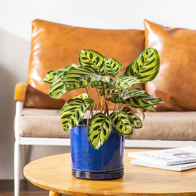 vancasso Ceramic Plant Pots, 3 Piece Planters for Indoor Plants, 4.25+5.25+6.25 Inch Flower Pots with Drainage, Plant Pots Indoor for Succulent, Pothos, Snake Plant and Money Tree, Etc (Blue)