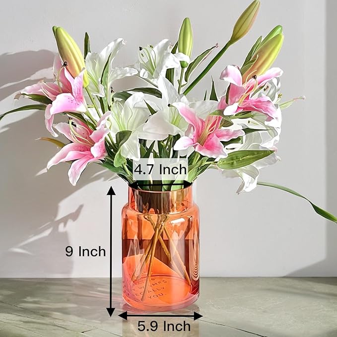 BLOFLO Orange Glass Vase, 9 Inch Large Glass Vase for Flowers, Modern Thick Glass Flower Vases for Centerpieces, Decorative Glass Cylinder Hydroponic Vase for Wedding, Home, Office (Orange, 9Inch)