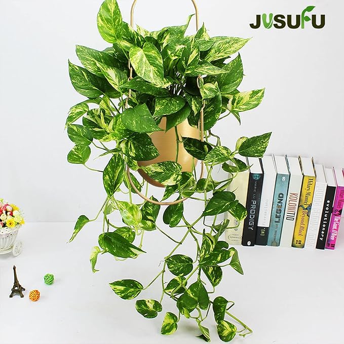 Metal Hanging Planters, Gold Hanging Planters for Indoor & Outdoor Plants, No Plant incld(Gold)