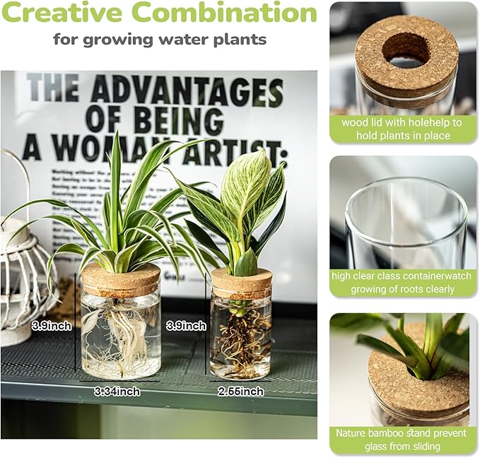 Glass Propagation Stations for Plants -Desktop Flower Vases,Propagation Flower Vases Set – 2 Sizes Planter Propagated Jars,for Plant Cuttings,for Living Room, Bedroom Decoration,Home,Office Decor(12)