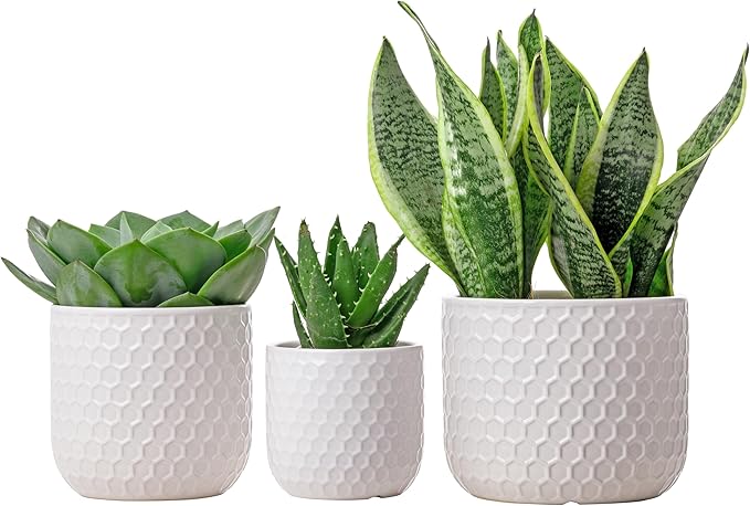 Docrin Plant Pots Indoor with Drainage: 6.4+5.3+4 Inch Ceramic Flower Pots for Plants - Set of 3 Modern Decorative Planters for House/Office/Gift - White Honeycomb