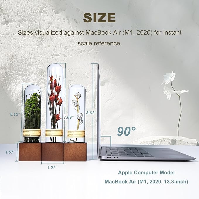 3Pcs Dried Flowers Book Shelf Decor,Boho Shelf Decor,Small Plants Decor for Office Shelves,Natural Forest Green Plants Decor with Wooden Base,Rustic Farmhouse Decor,Unique Gifts for Women,Friends