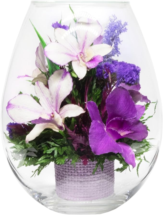 Fiora Flower Elegant Orchid Arrangement in Glass Vase | Preserved Real Orchids Lasting 5 Years | Ideal for Home Decor or Romantic Gift