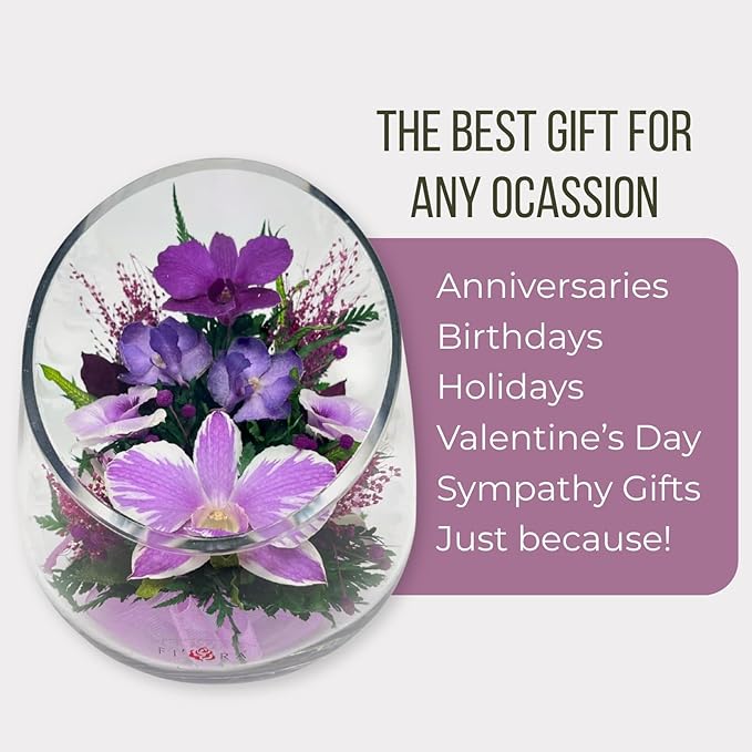 Fiora Flower Elegant Orchid Arrangement in Glass Vase | Preserved Real Orchids Lasting 5 Years | Ideal for Home Decor or Romantic Gift