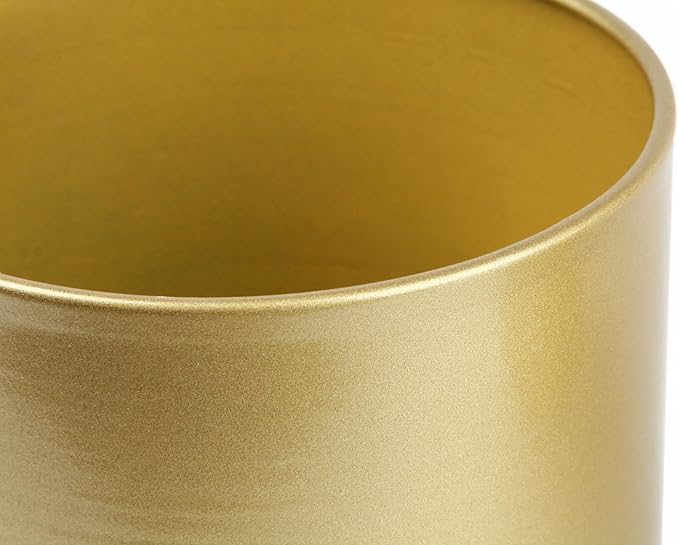 Vixdonos Metal Flower Pots Garden Planters Indoor Round Succulent Containers, Pack 2 Cactus Plant Pots with Drainage Hole (5.9inch+6.7inch, Gold)