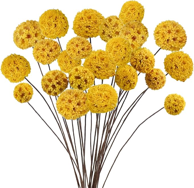 24 PCS Dried Craspedia Billy Balls Flowers, 18” Natural Dried Flowers Bouquet for Vase Floral Arrangements Wedding Table Centerpieces Party DIY Home Decor (Yellow)