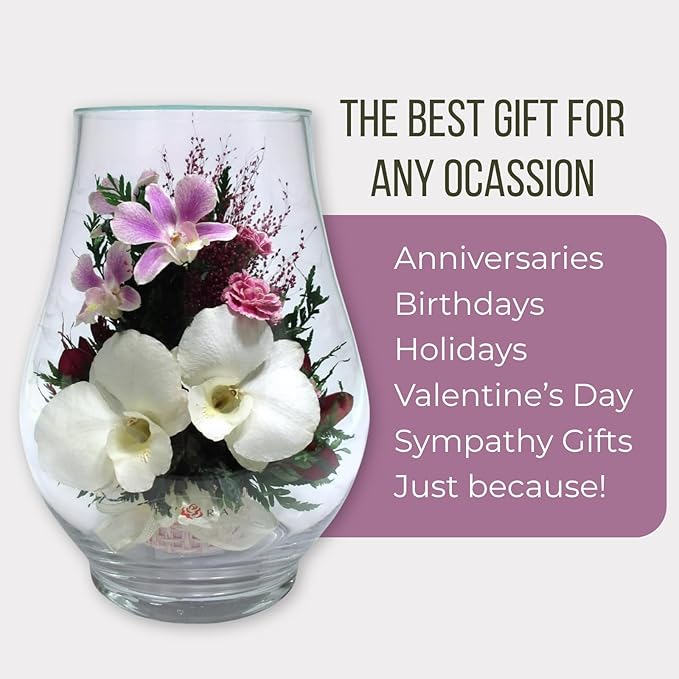 Fiora Flower Elegant Orchid Arrangement in Glass Vase | Preserved Real Orchids Lasting 5 Years | Ideal for Home Decor or Romantic Gift (Opal)