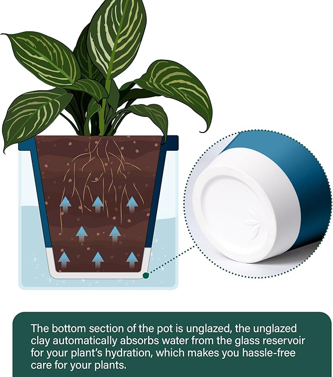D'vine Dev 10 Inch Design Self Watering Planter for Indoor Plants, Blue Terracotta Pot with Cylinder Glass Cup, 37-X-D-4