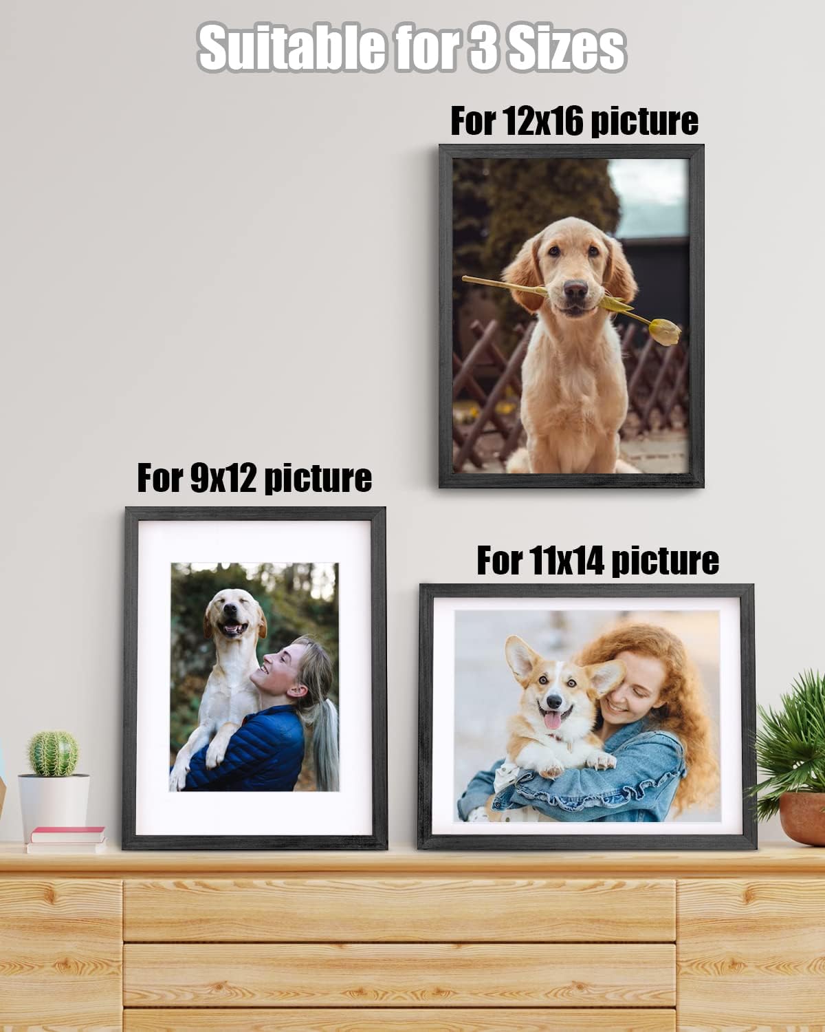 Egofine 12x16 Picture Frames Set of 4, Made of Solid Wood Covered by Plexiglass 9x12 and 11x14 with Mat or 12x16 without Mat, for Wall Mounting Photo Frame Rustic Black