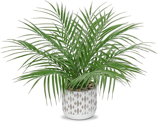 Hollyone Large Artificial Potted Plants Fake Palm Plants 16" Faux Green Plant Plastic Ceramic Tropical Palm Tree in Pots Bohemian for Home Room Office House Indoor Decorative