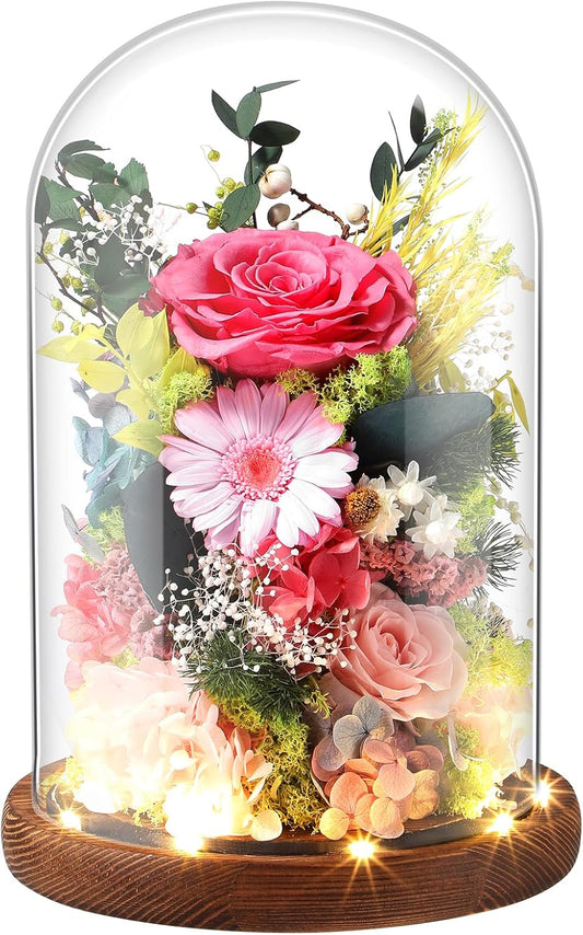 Eternal Rose Sweet Pink Flower Preserved Long Lasting Stable Color Natural Material Symbol of Everlasting Love for Wife Mothers Select Anniversary Rose Gift Birthday Present