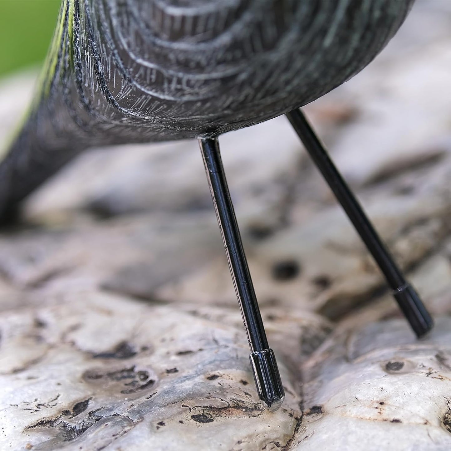 Mid Century Home Decor, House Bird, Adornment Office Home Decor, Desk Dove Ornament, Arts Pigeon Gifts, Replica Sculpture(Woodgrain, White Stripe)