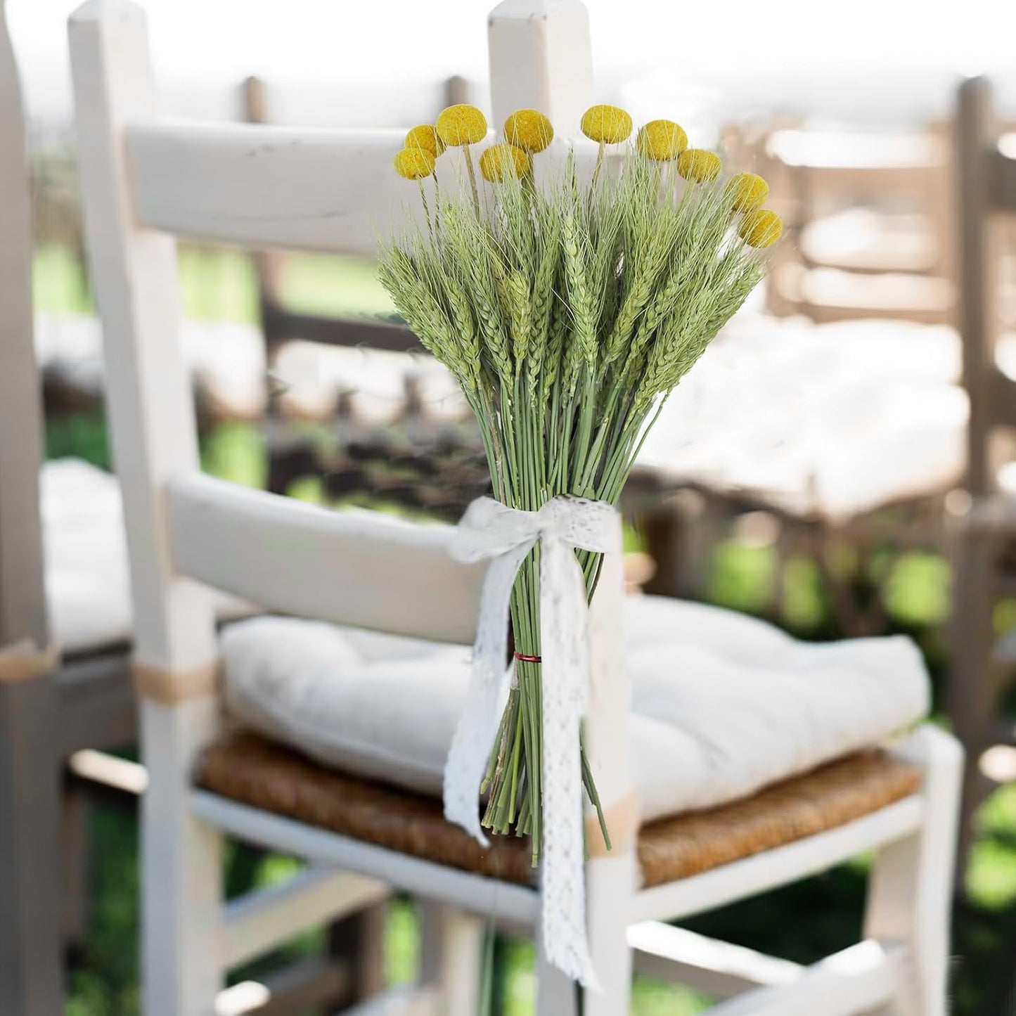 CISDUEO 60 Pcs Dried Wheat Stalks Bundle Natural Dried Flowers Craspedia Billy Balls Flowers Billy Buttons Dried Floral Bouquet Arrangements for Wedding Party Table Centerpiece Decor Farmhouse DIY