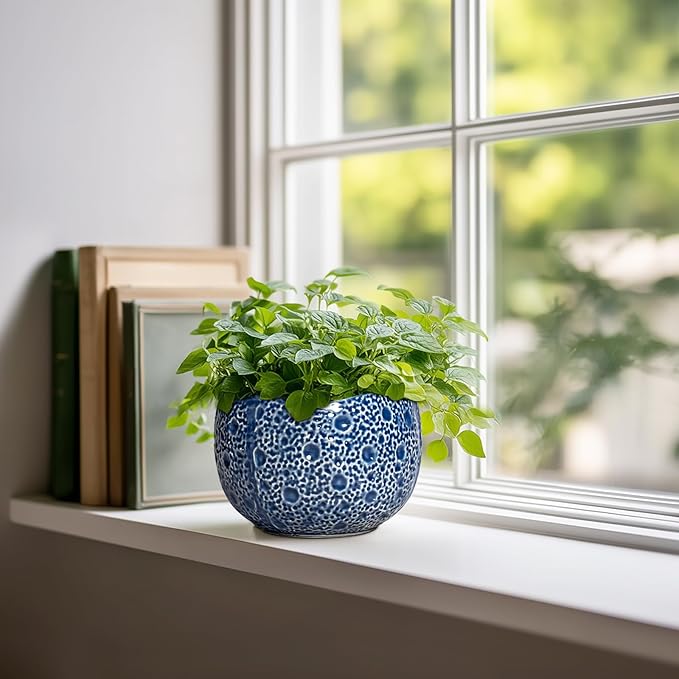 Orchid Pot - 6 Inch Ceramic Plant Pot for Indoor Outdoor, Round Unique Planters with Drainage Hole, Modern Round Decorative Flower Pots, Home Decor, Gifts for Plant Lovers, Blue