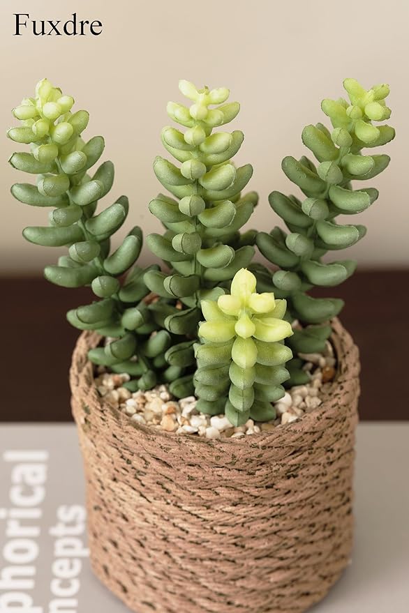 3-Pack Artificial Succulent Plants in Vintage Plastic Pots - Fake Waterproof Succulents Decor for Home, Office, Desk, Shelf - Low Maintenance Indoor Greenery for Bathroom, Living Room, Table Decor