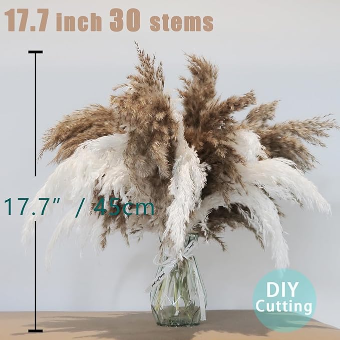 30 Stems Fluffy Pampas Grass - Natural Dried Pampas, Brown & White Pompas Grass, Dry Small Pampas Bulk for Living Room Table Decor, Boho Decor,Party Wedding Decor, Gift(17.7 inch, 20 Brown & 10White)