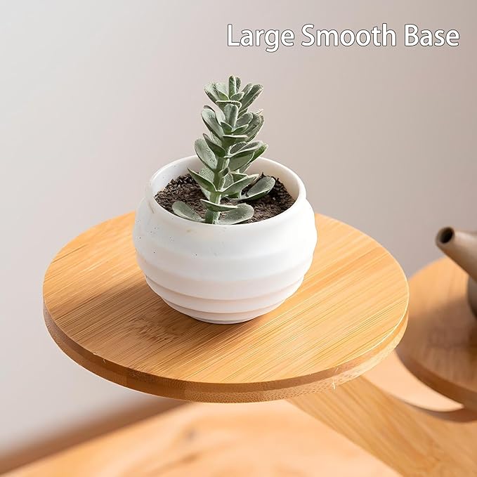 2 Tiered Desk Plant Stand Bamboo Tree Plant Shelf Tabletop Succulent Herb Stand Desktop Plant Stand Indoor Plant Rack for in Living Room Office Decoration (2 Tiered)