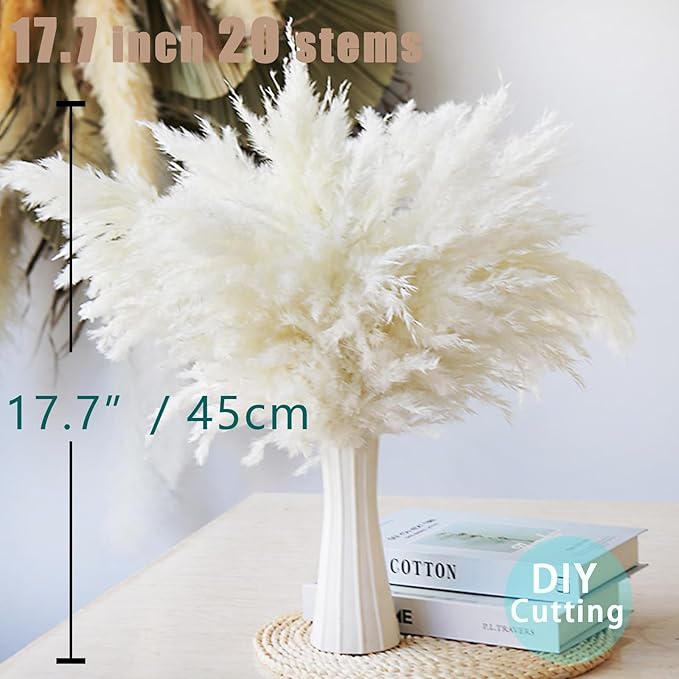 30 Stems White Pampas Grass Fluffy, Boho Home Decor, Natural Fluffy Pompas Grass Natural Pampas for Living Room Decor, Table Decor, Boho Decor, Party Wedding Decor, Gift (17.7 inch, 30 White )