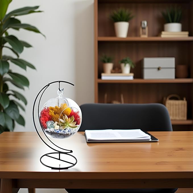 5" Glass Globe Succulent Terrarium Kit, Hanging DIY Starter Kit for Kids and Adult, Metal Stand, Reindeer Moss, Crystal & Rocks, Tools, Figurine (Live Plant Included)