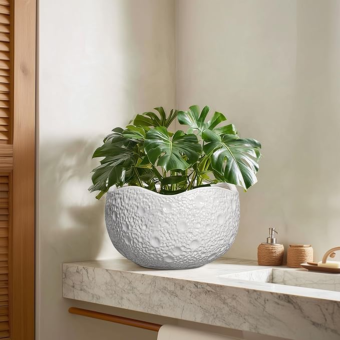 10 Inch Plant Pot - Ceramic Planter for Indoor Outdoor, Round Bonsai Pots, Decorative Flower Pots with Drainage Hole, Modern Unique Planters, House Decor, Home Gifts, White