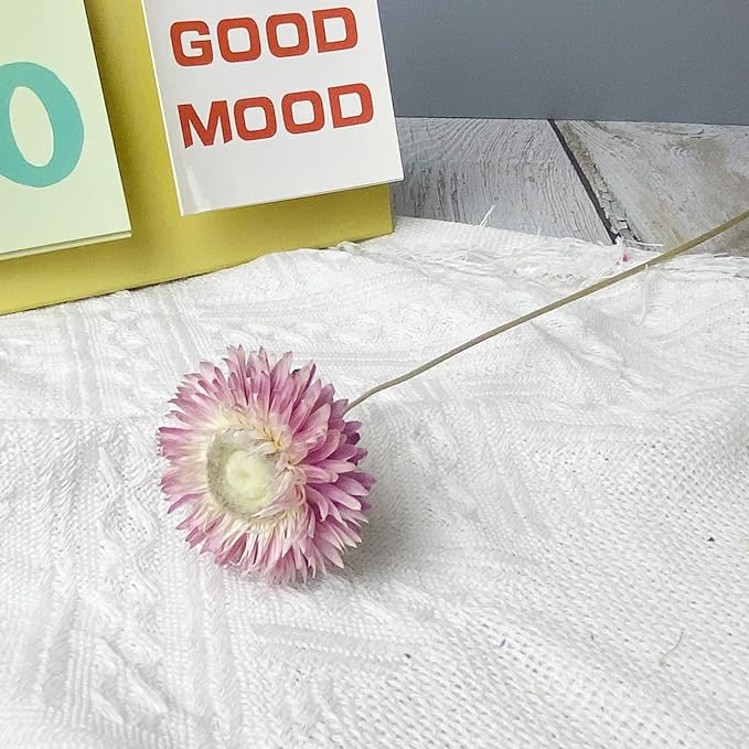 100% Natural Daisy Flowers, Dried Flower Bouquets-30Pcs Pink Daisies Chrysanthemums, 17 Inch Arrangements for Vase, Home Decoration Photo Props Parties and Weddings-Daisy Pink