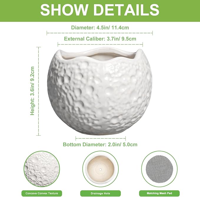 4 inch Plant Pots - Ceramic Pots for Plants with Drainage Hole, Small Planter for Indoor Outdoor, Unique Succulent Pot, Decorative Modern Round Planter, Desk Decor, Plant Lover Gifts, White