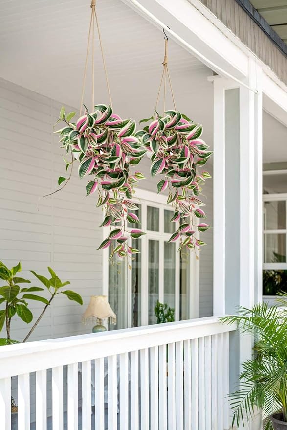 DILATATA Fake Hanging Plants Artificial Hanging Plants 26" Faux Wandering Jew Hanging Leaves Plants for Wall Shelf Home Indoor Outdoor Decor - 2 Pack