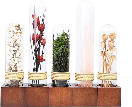 5Pcs Dried Flowers Book Shelf Decor,Boho Shelf Decor,Small Plants Decor for Office Shelves,Natural Forest Green Plants Decor with Wooden Base,Rustic Farmhouse Decor,Unique Gifts for Women,Friends